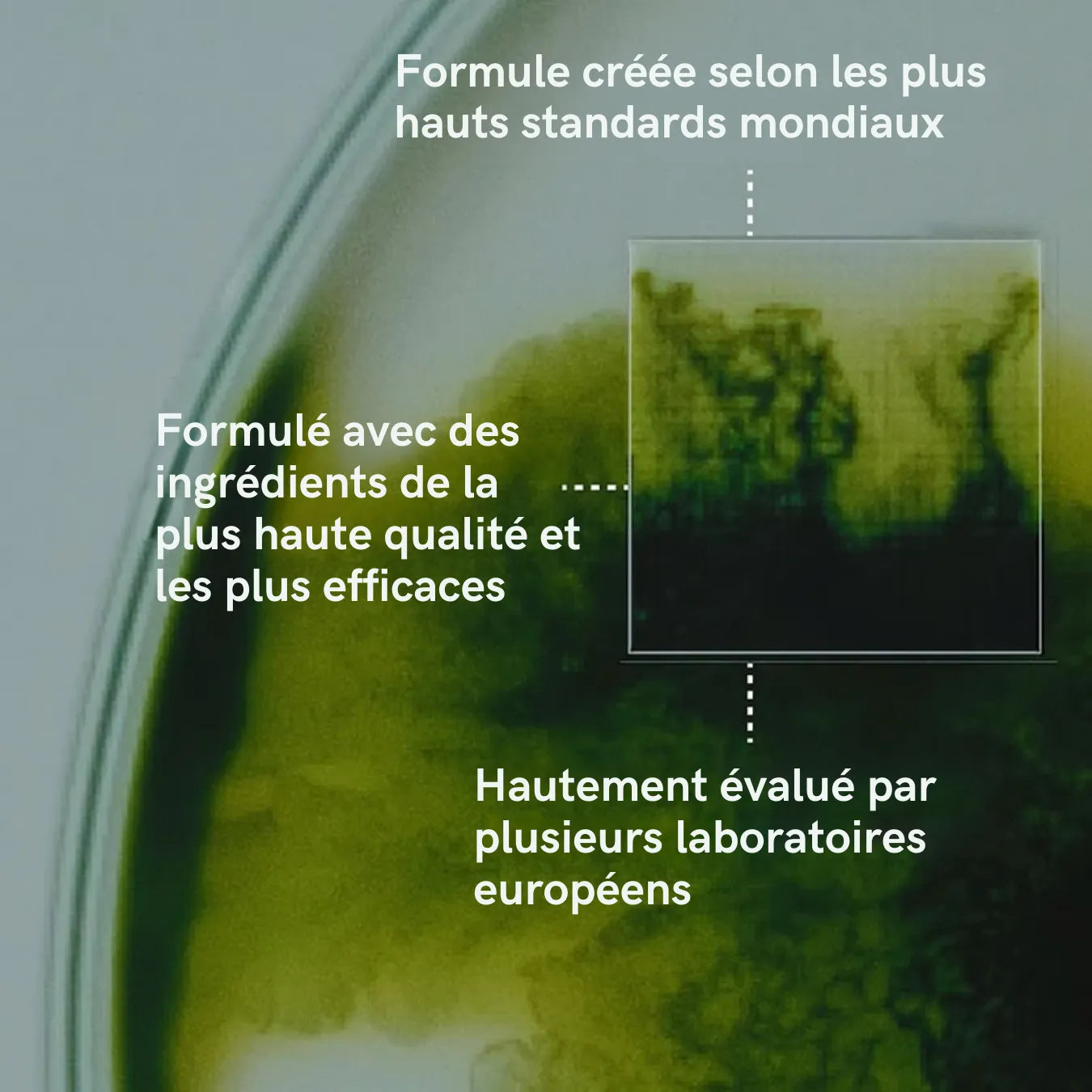 Hair Max – sérum activateur de croissance capillaire