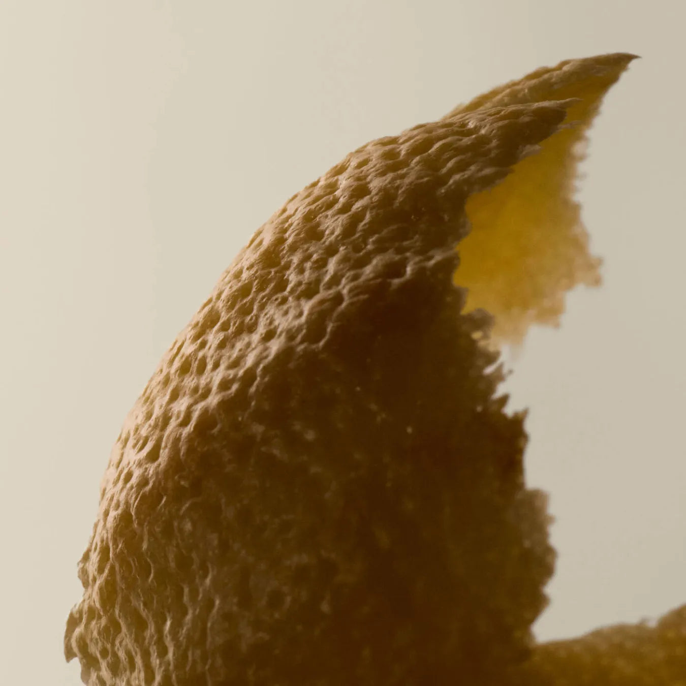 Hair Max – shampoing pour des cheveux forts et denses